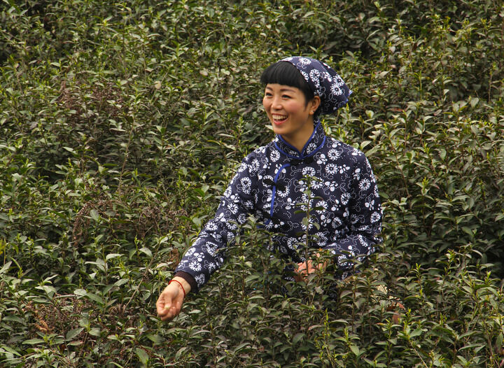 恋秀图鉴